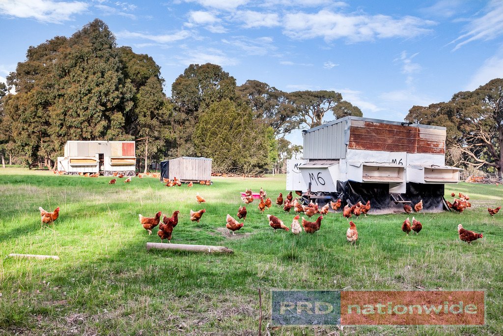 61 Egerton-Bungeeltap Road MOUNT EGERTON 20