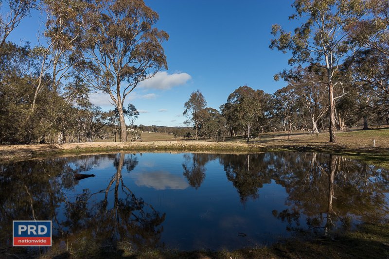 61 Forest Lane BYWONG 20