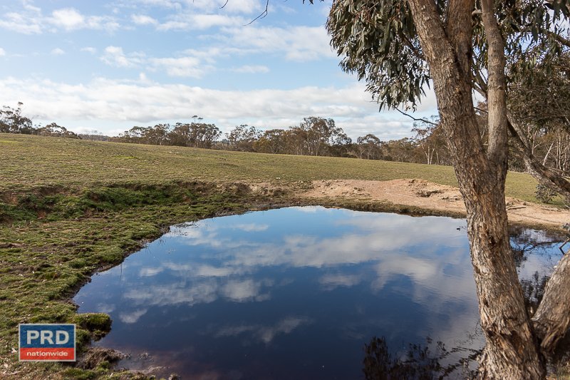 61 Forest Lane BYWONG 22