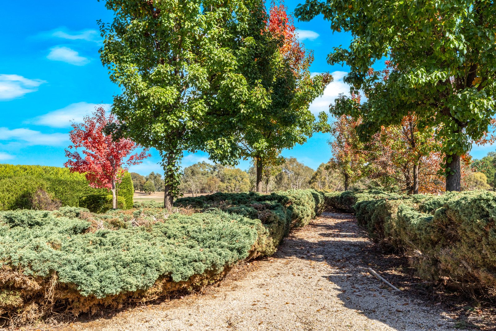 Real Estate and Property in 61 Golf House Lane, Lancefield, VIC