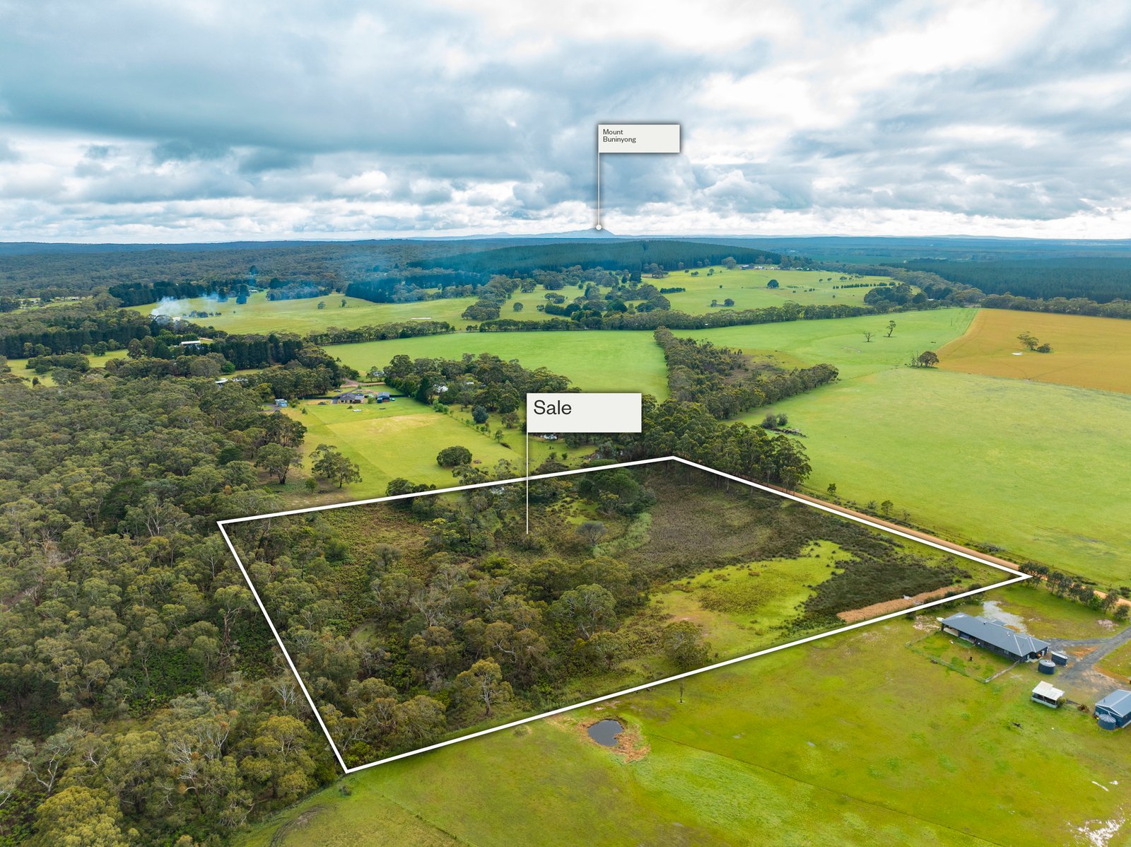 Gallery: 61 Harrisons Road