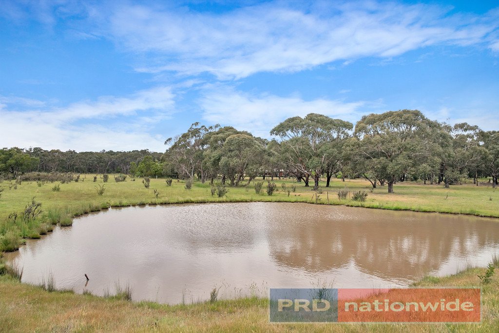 61 Hillcrest Road SMYTHESDALE 2