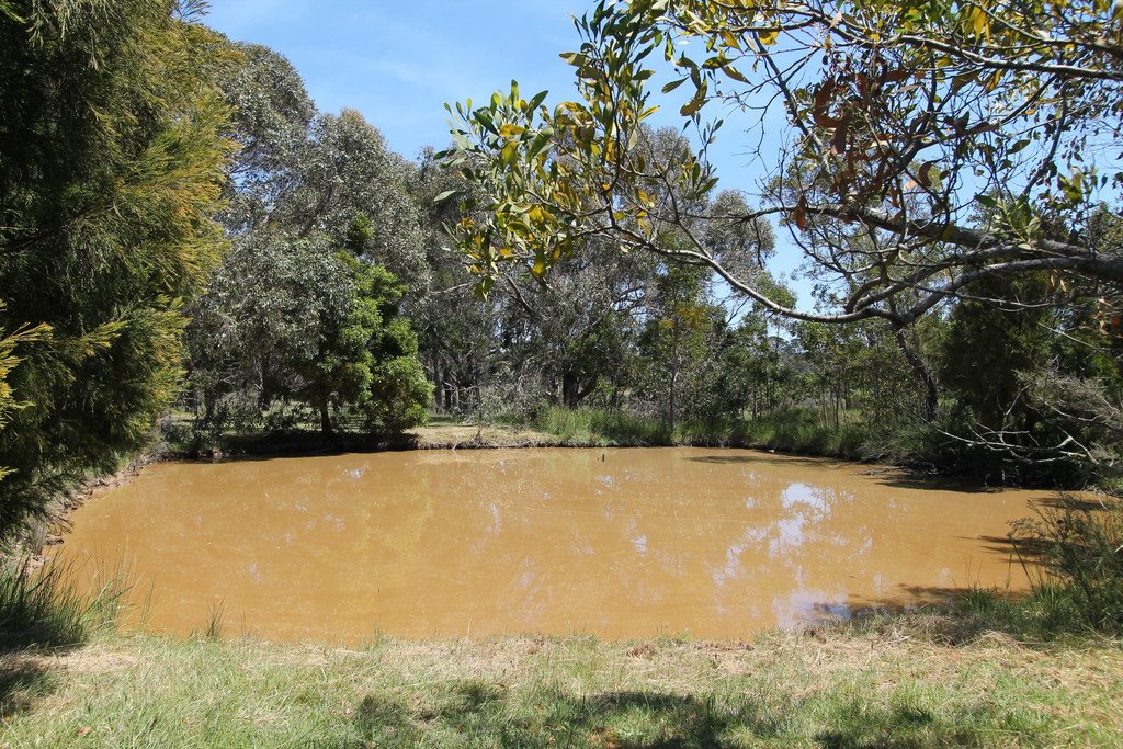 61 Hillcrest Road SMYTHESDALE 11