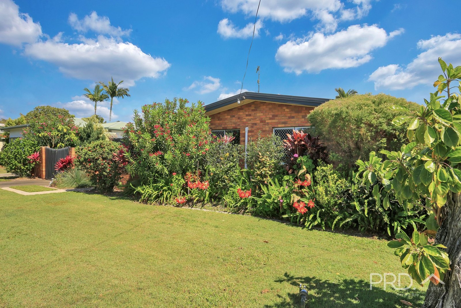 61 Limpus Street URANGAN 3