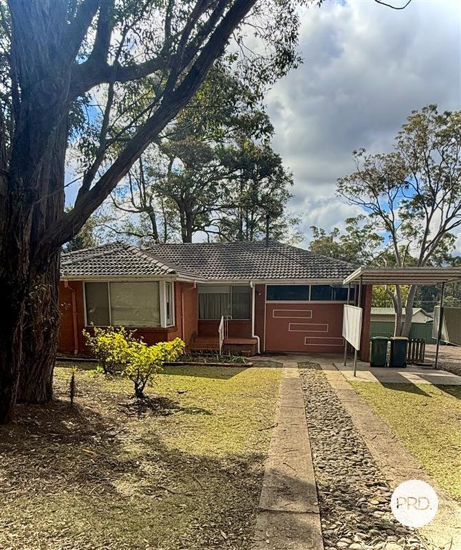 61 Linksview Road SPRINGWOOD 1