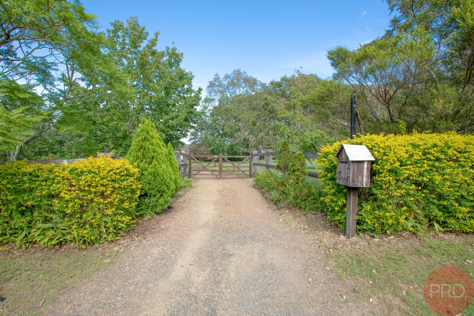 61 Maitland Vale Road BOLWARRA HEIGHTS 9