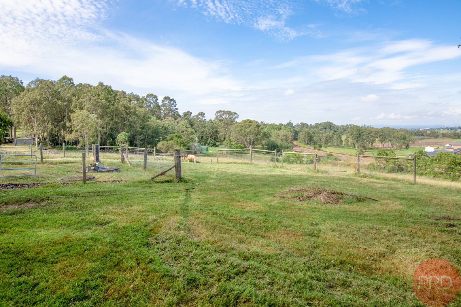 61 Maitland Vale Road BOLWARRA HEIGHTS 17