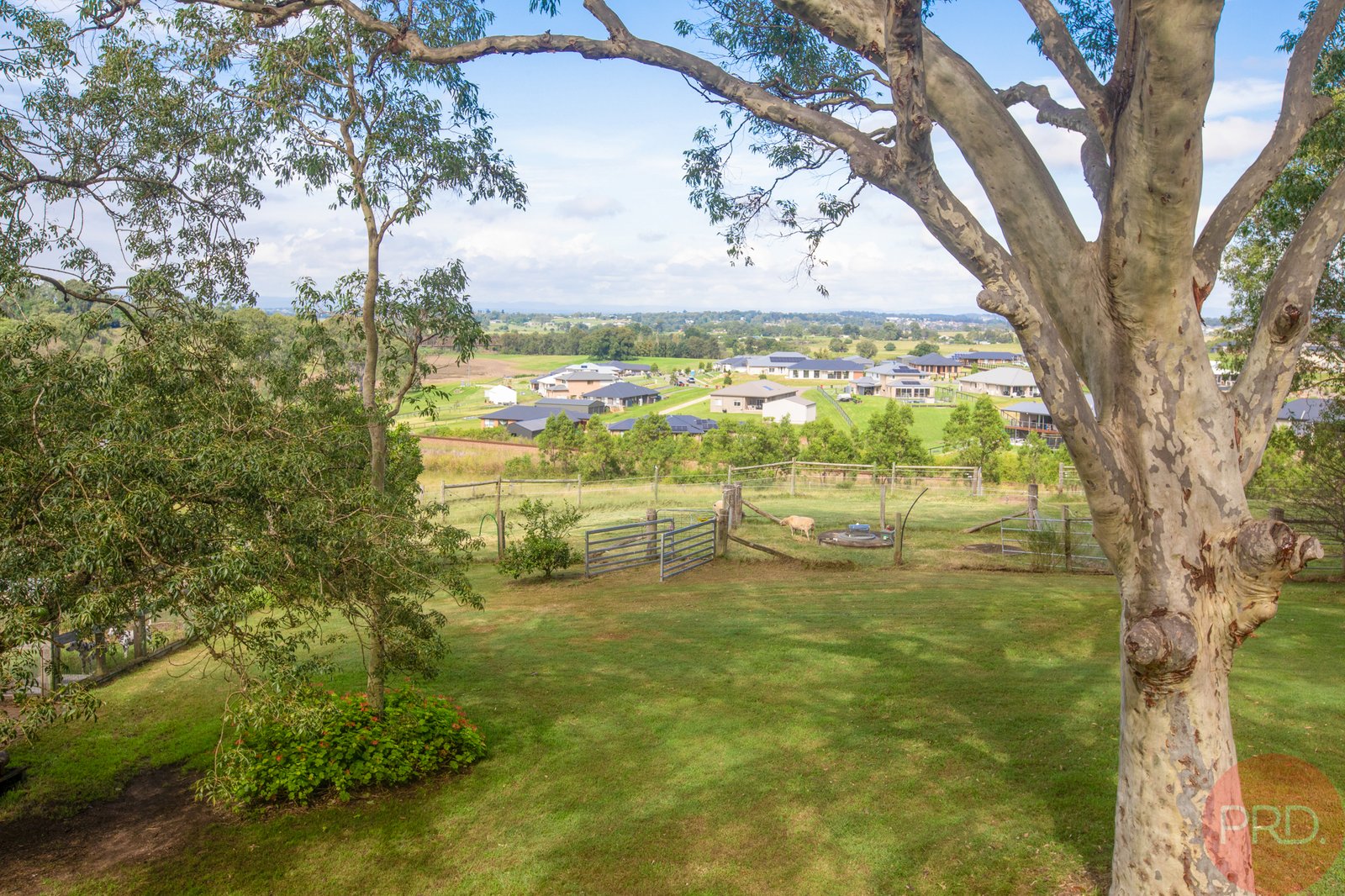 61 Maitland Vale Road BOLWARRA HEIGHTS 18