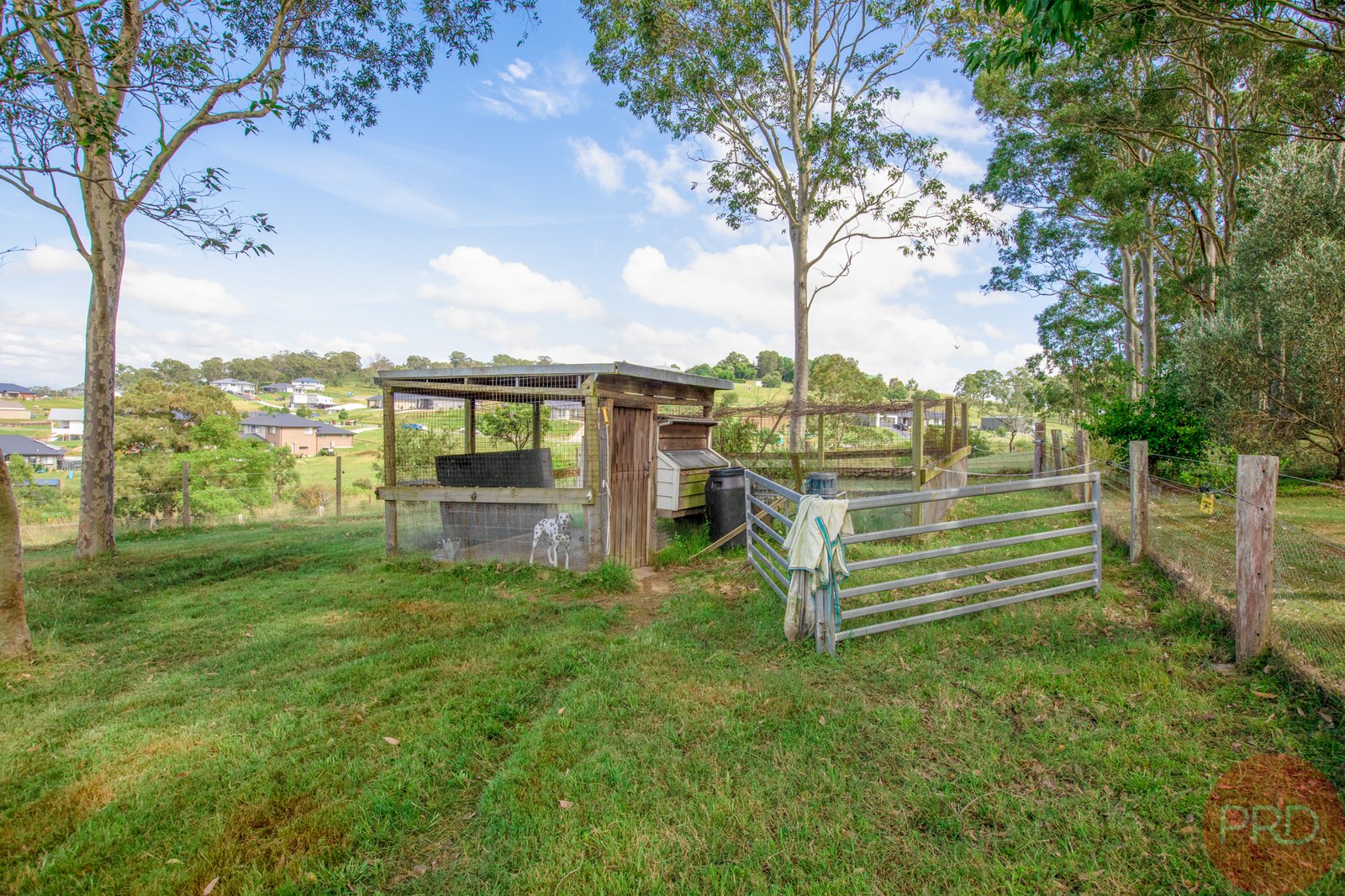 61 Maitland Vale Road BOLWARRA HEIGHTS 23
