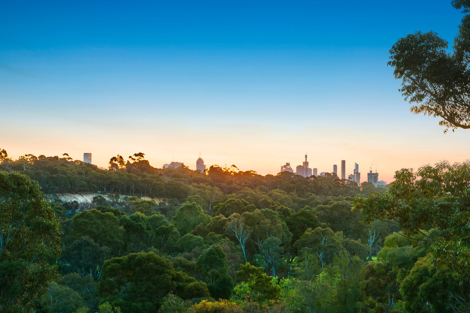 Real Estate and Property in 61 Molesworth Street, Kew, VIC