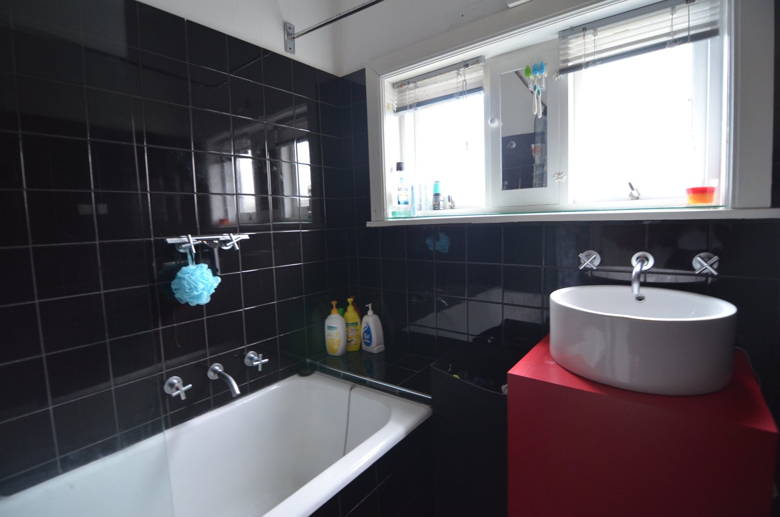 Gallery: 61 Shannon Avenue