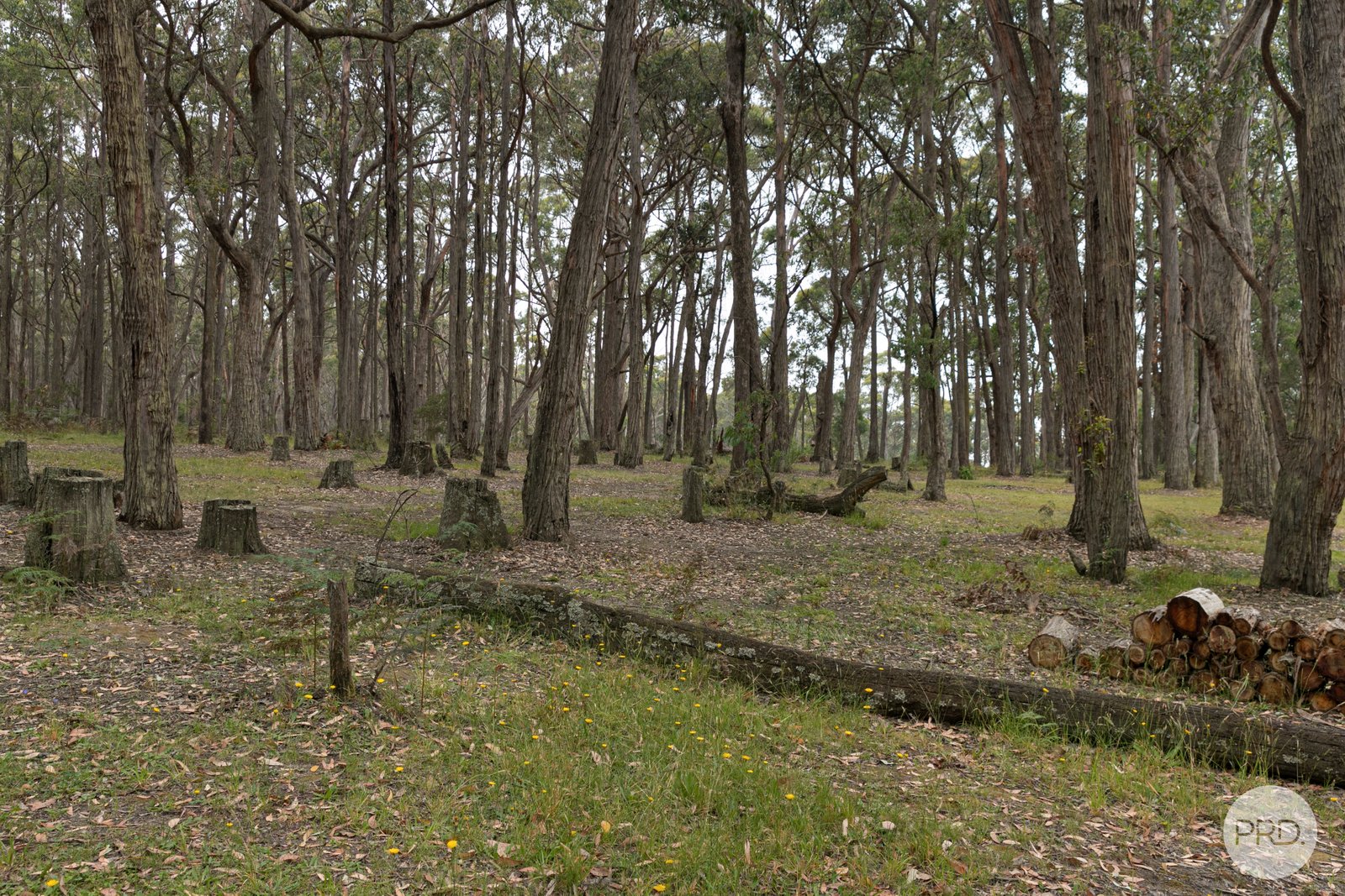 61 Tooheys Close GORDON 24