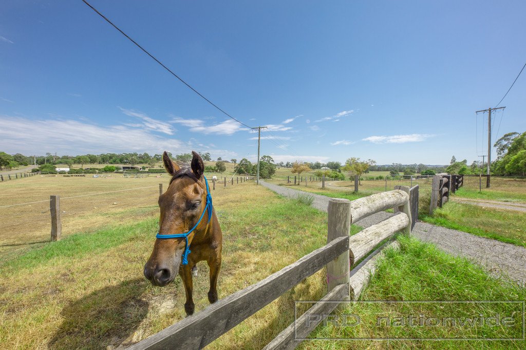 61 Williams River Close CLARENCE TOWN 17