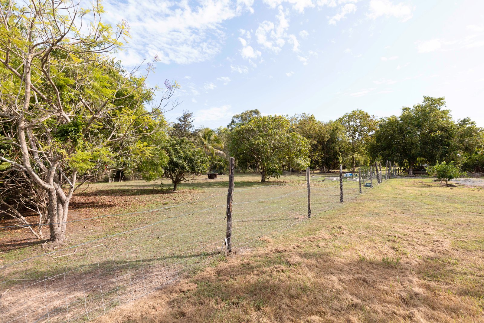 61 Windsor Drive HAY POINT 25