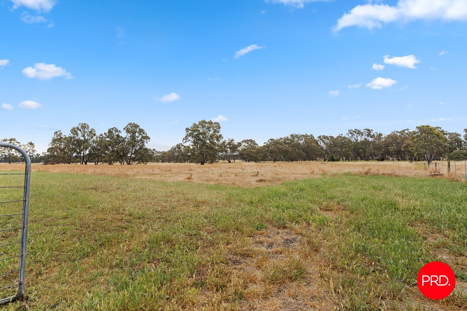 610 Axe Creek Road AXE CREEK 16