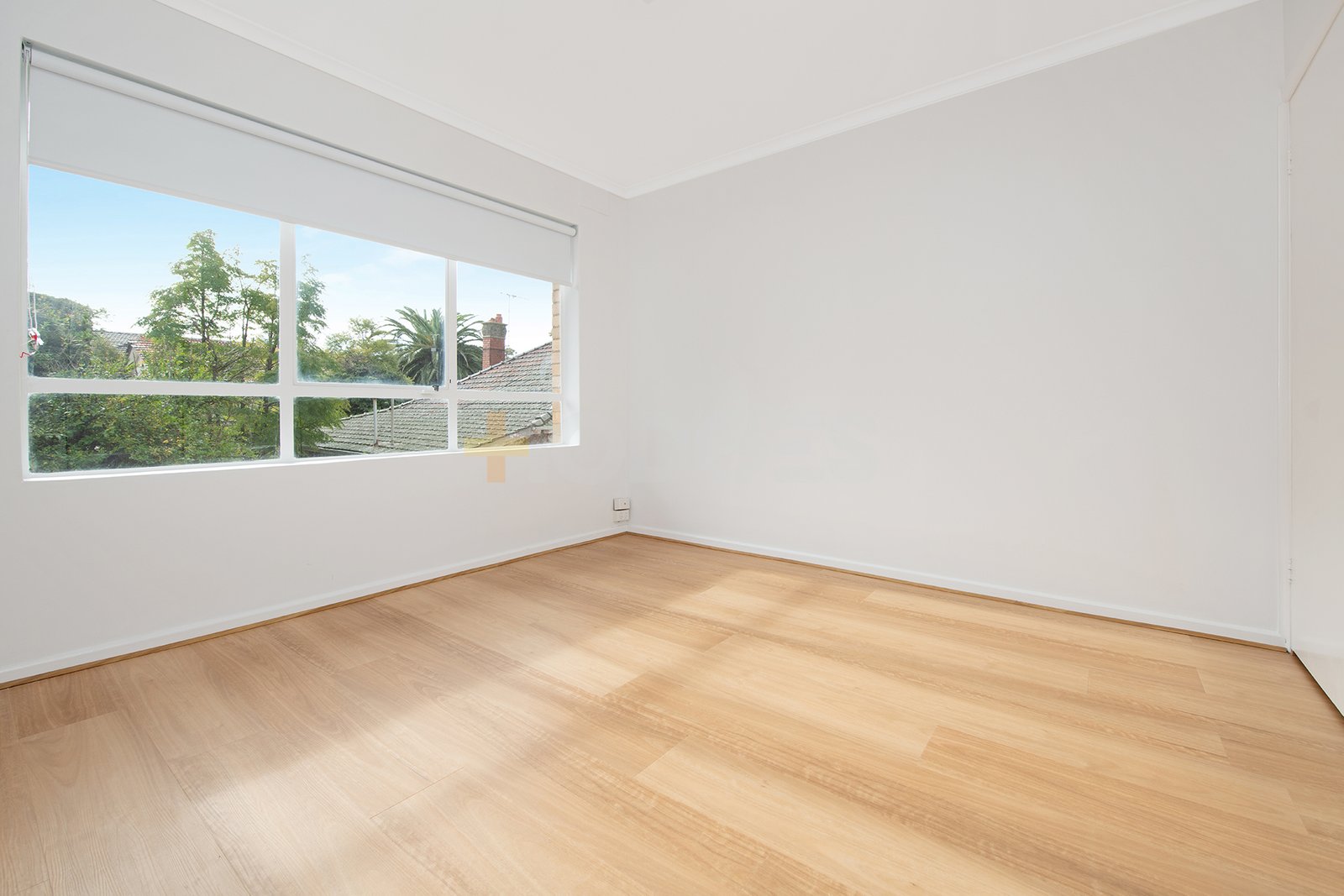 Gallery: 6/114 Hyde Street