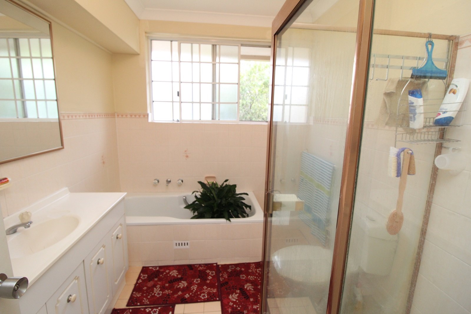 6/17 Bellevue Street KOGARAH 4