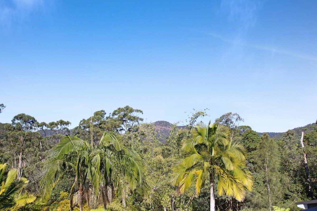 617 Bonogin Road Bonogin 9