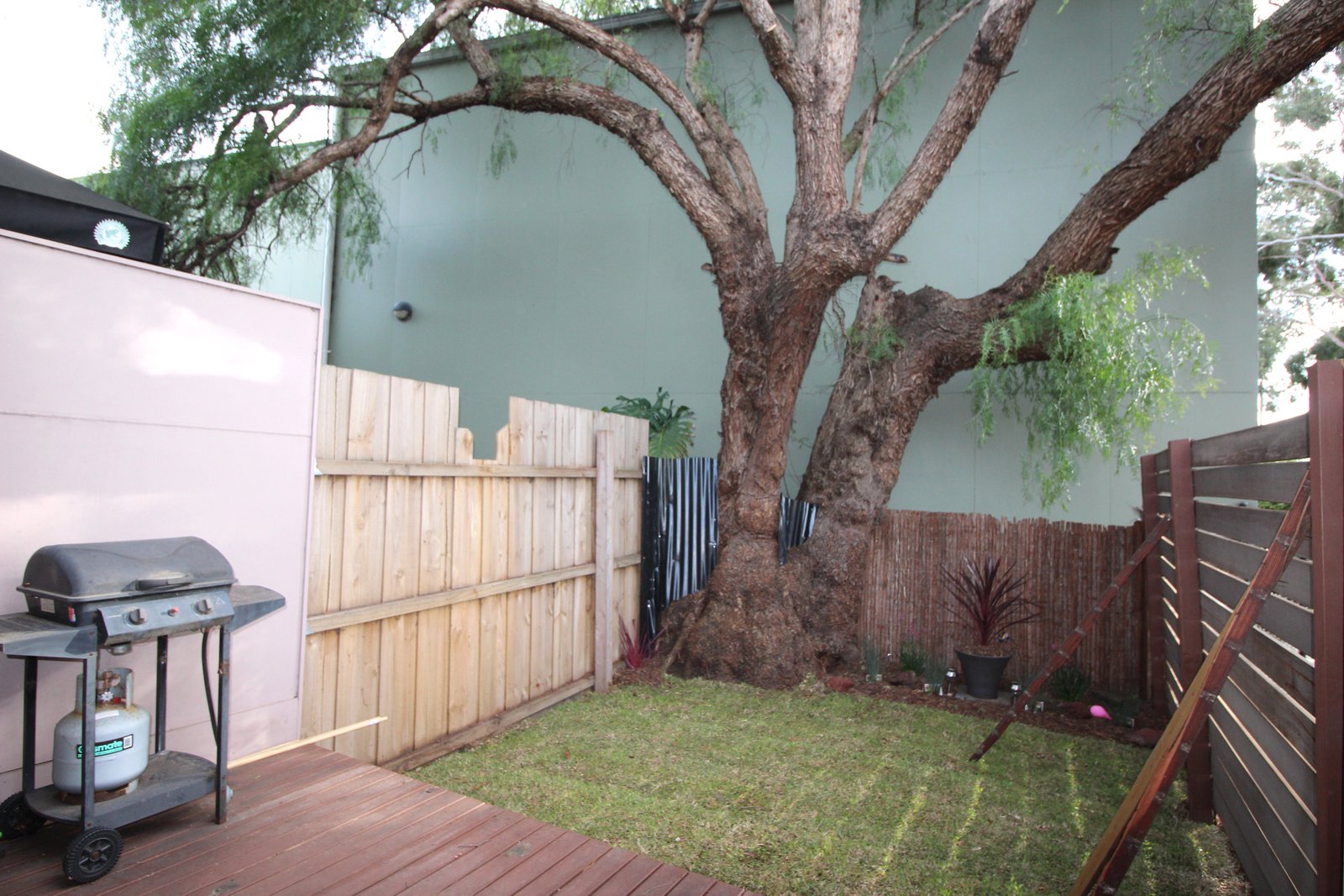 Gallery: 6/173 Balcombe Road