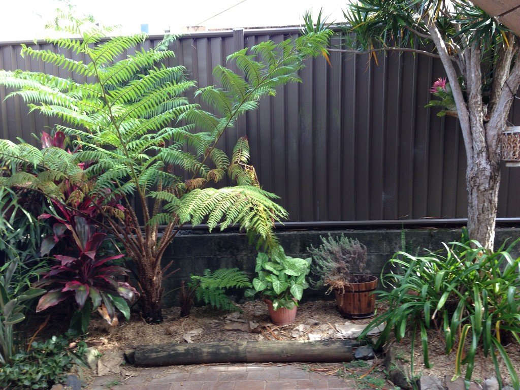 6/18-20 Brunswick Avenue COFFS HARBOUR 6