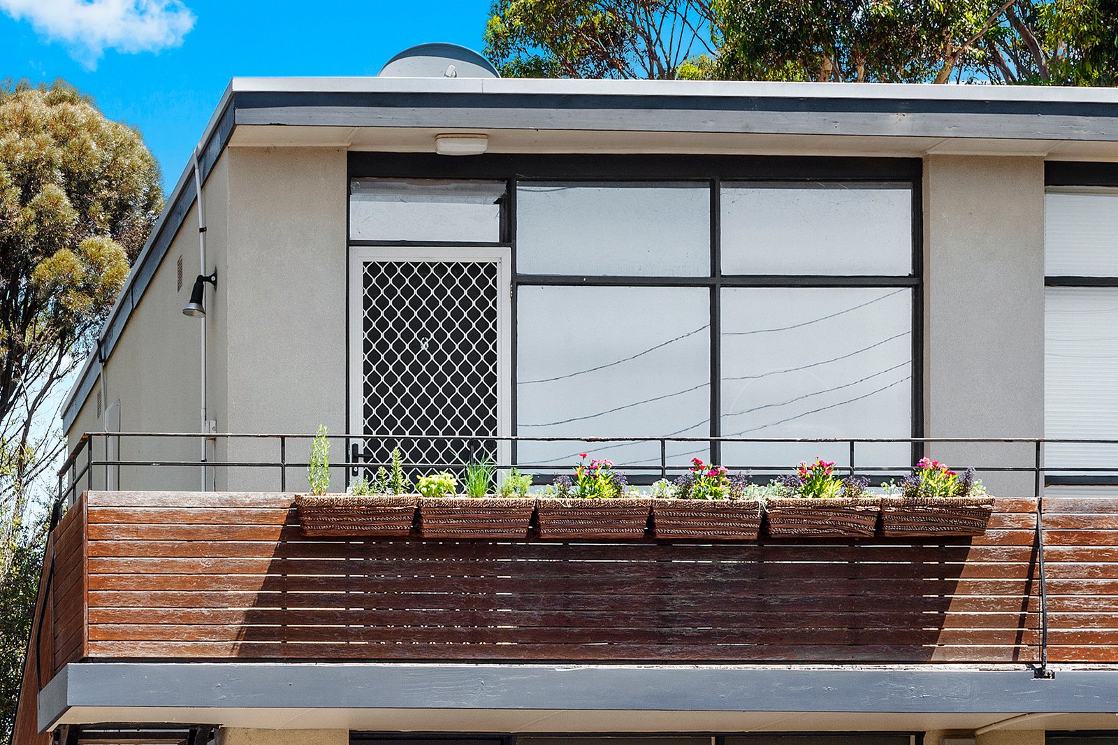 6/18 Bakewell Street, HERNE HILL VIC 3218 Buxton 2024