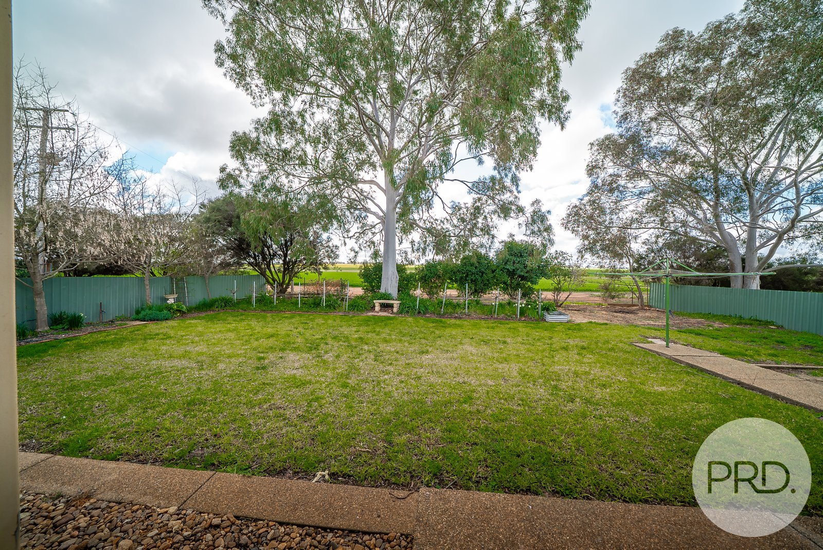 6192 The Rock-Collingullie Road COLLINGULLIE 10