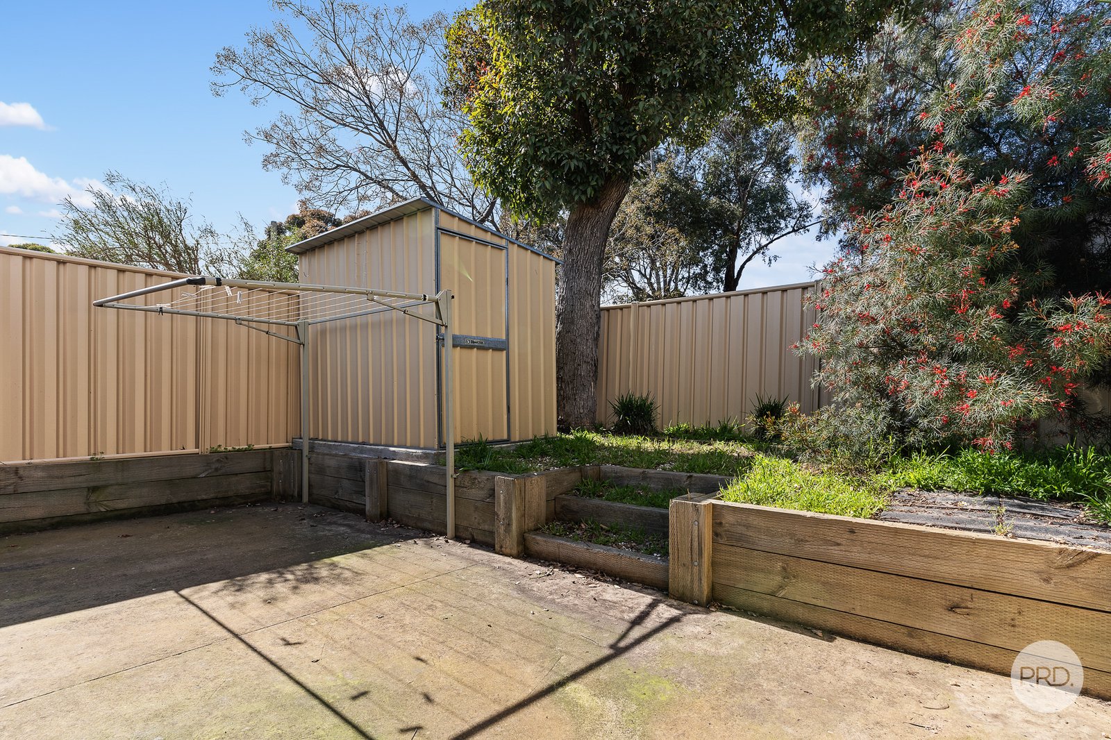 61A Raglan Street WHITE HILLS 8