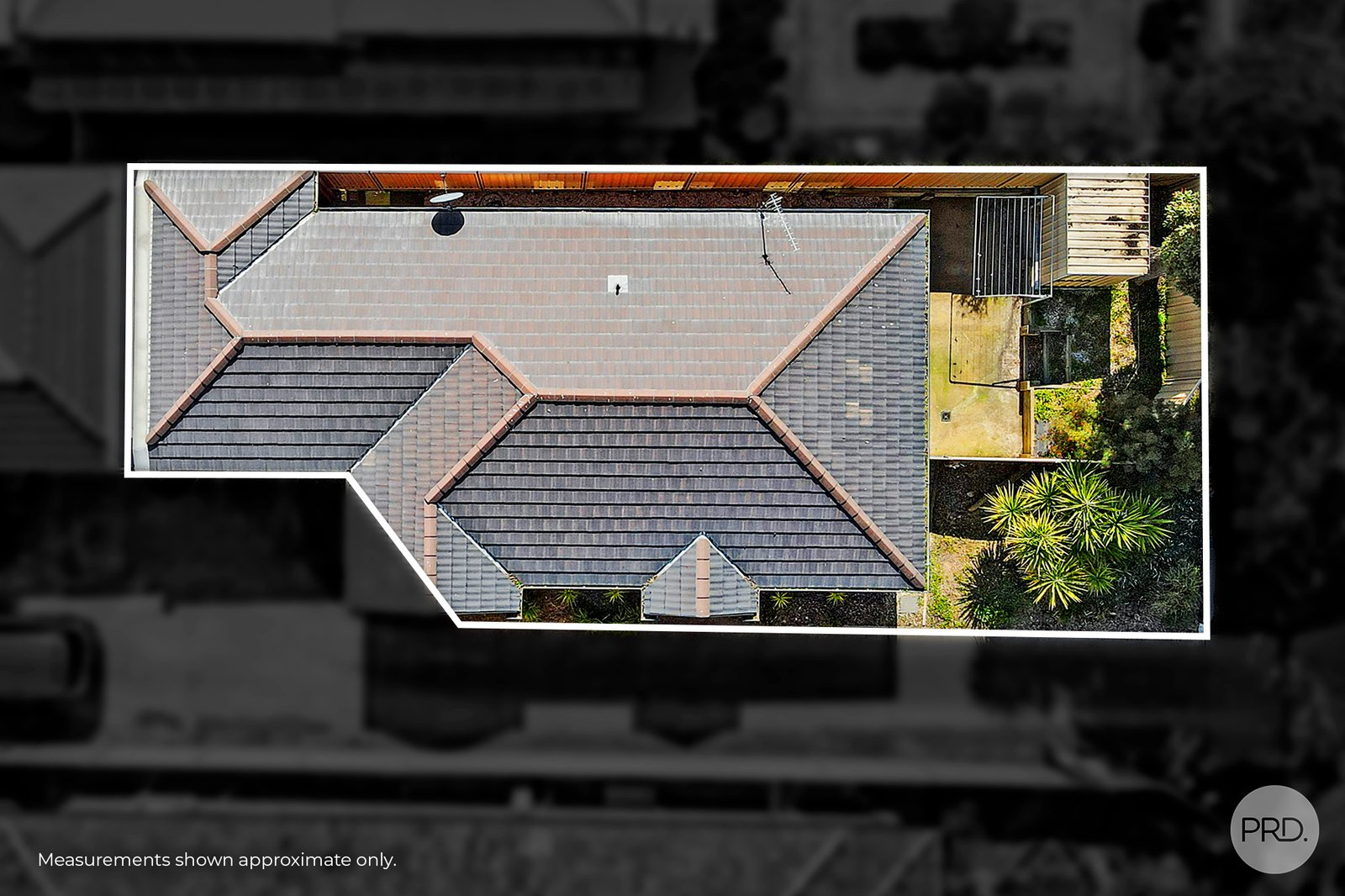 61A Raglan Street WHITE HILLS 9