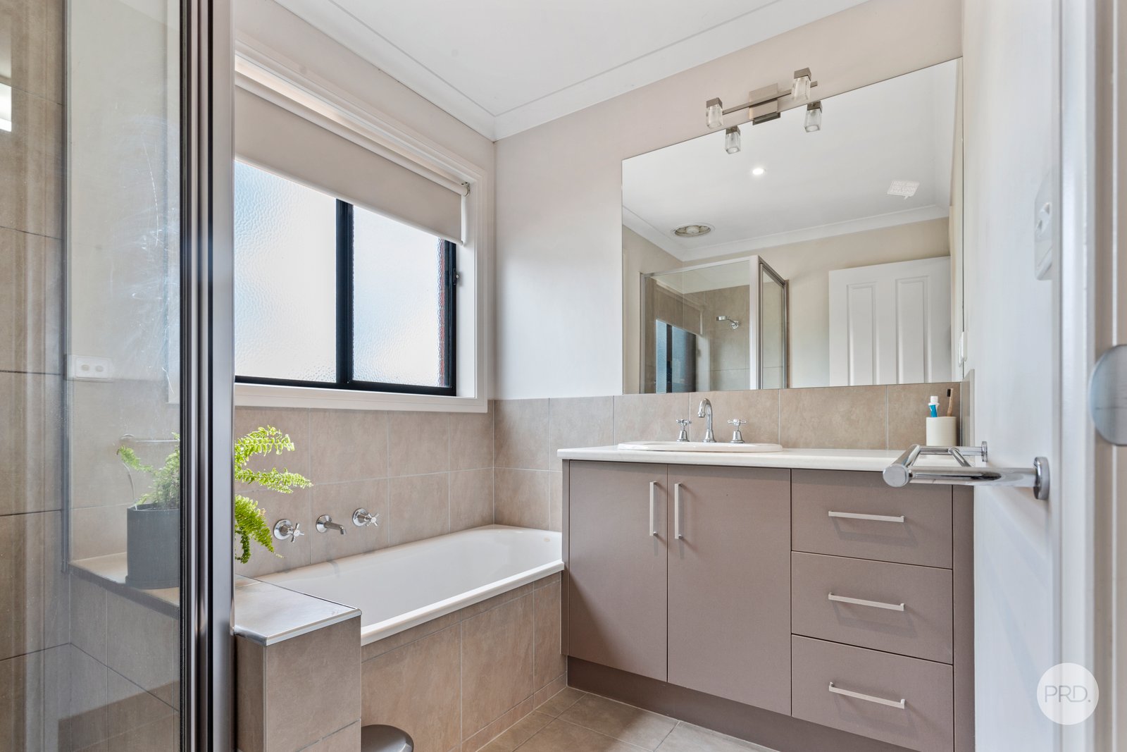61B Raglan Street WHITE HILLS 9