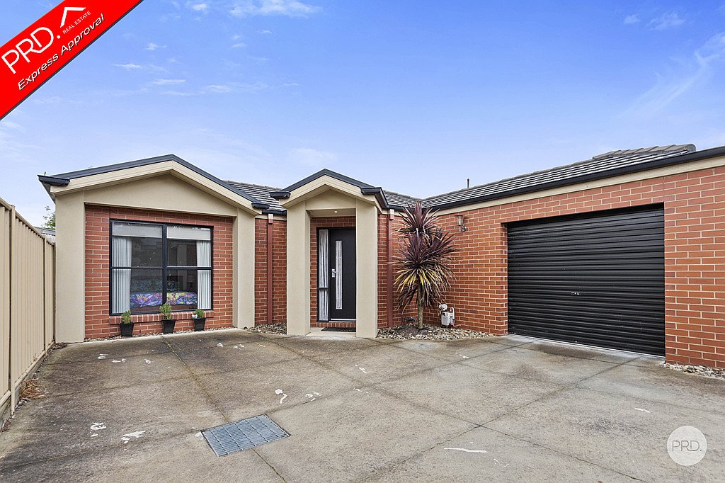 61B Raglan Street WHITE HILLS 2