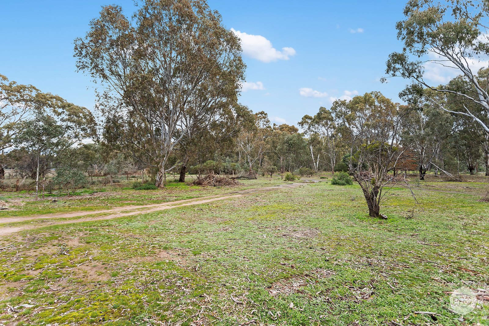 62 - 64 Caldwell Street HEATHCOTE 15