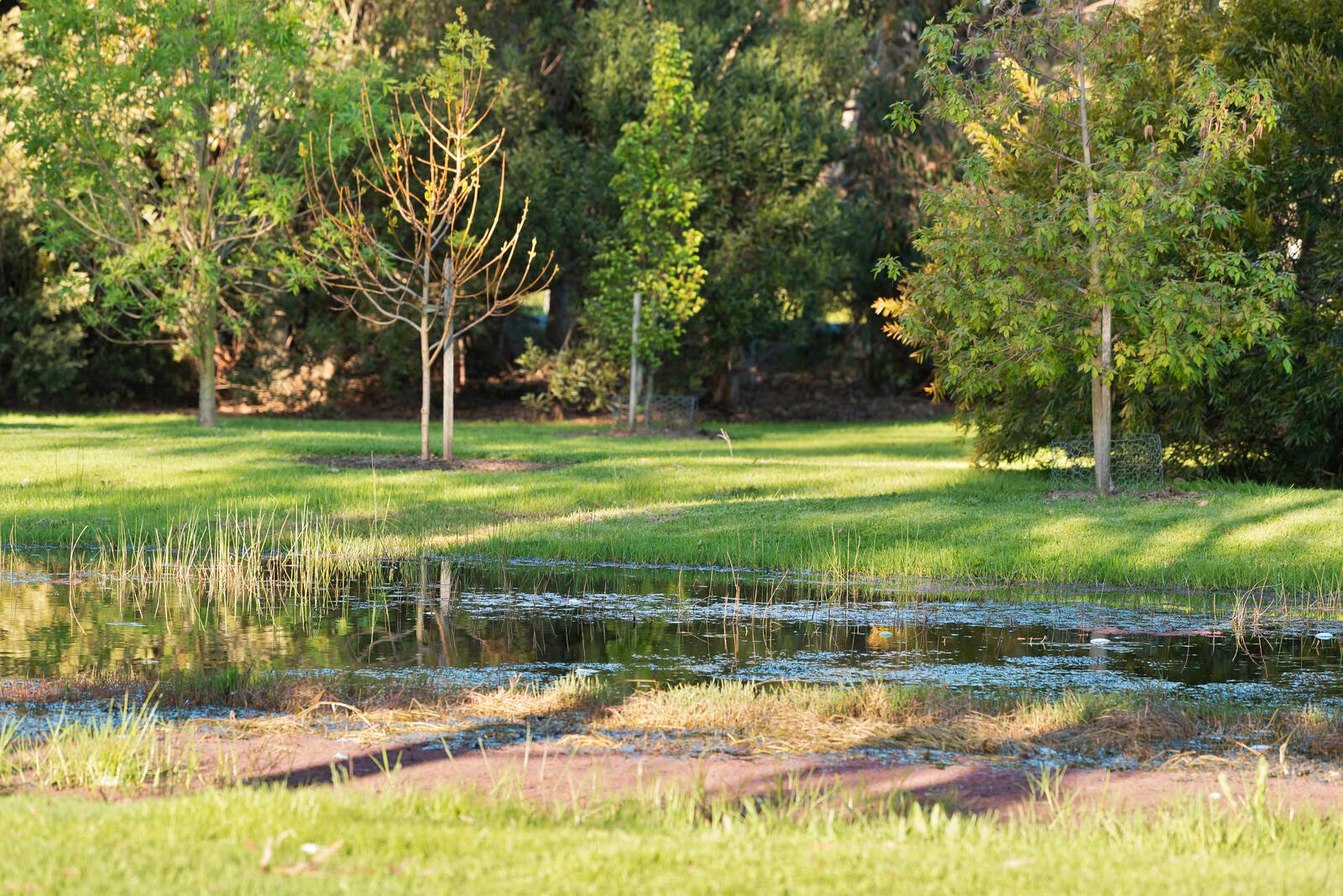 Real Estate and Property in 62-80 Queenscliff Road, Portarlington, VIC