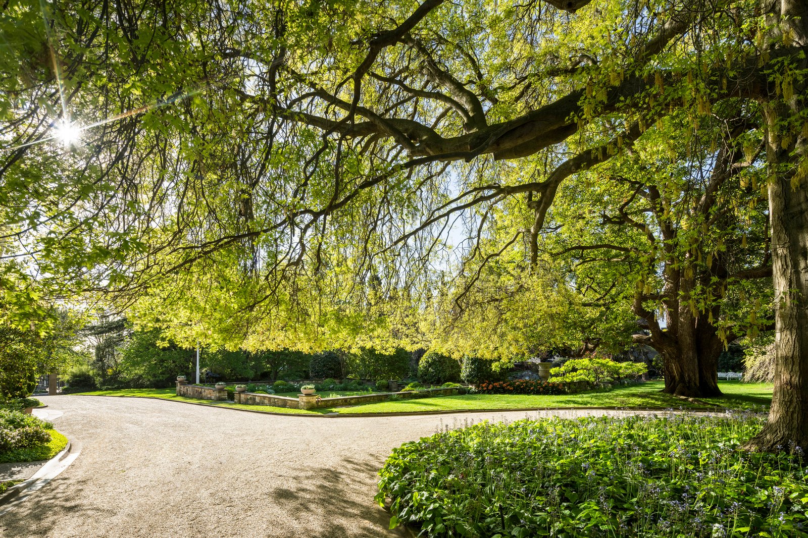 62 Clendon Road, Toorak, 3142