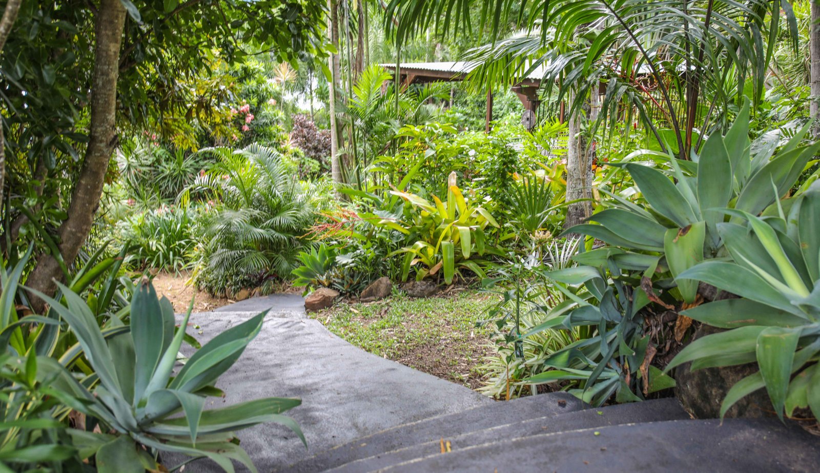 62 Country Road CANNONVALE 19