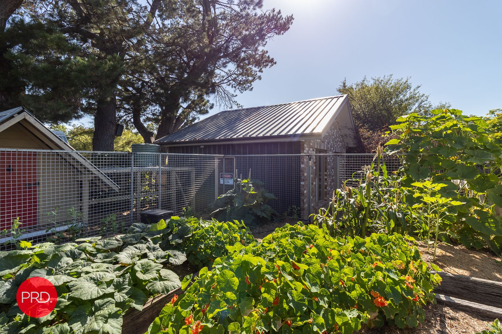 62 Duralla Street BUNGENDORE 19