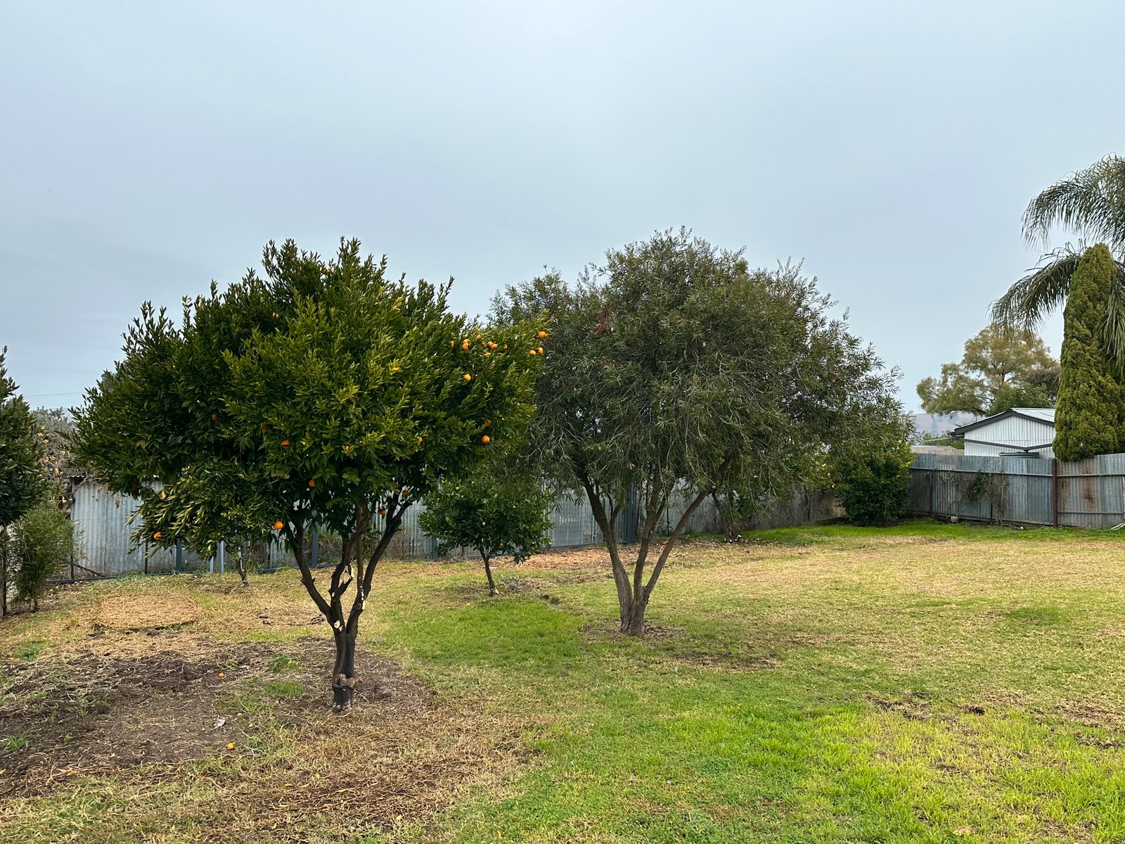 62 Hanley Lane GUNDAGAI 12