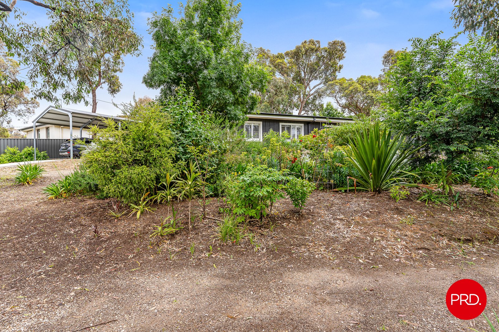 62 Lawson Street SPRING GULLY 20