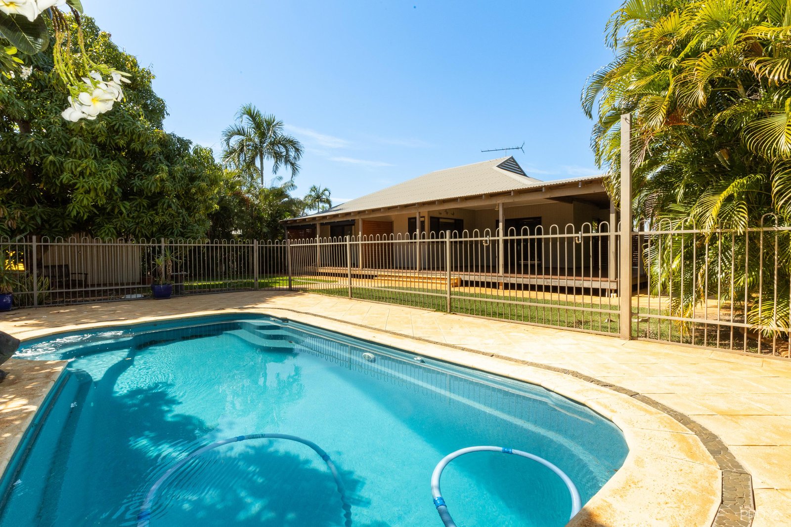 62 Lorikeet Drive DJUGUN 8