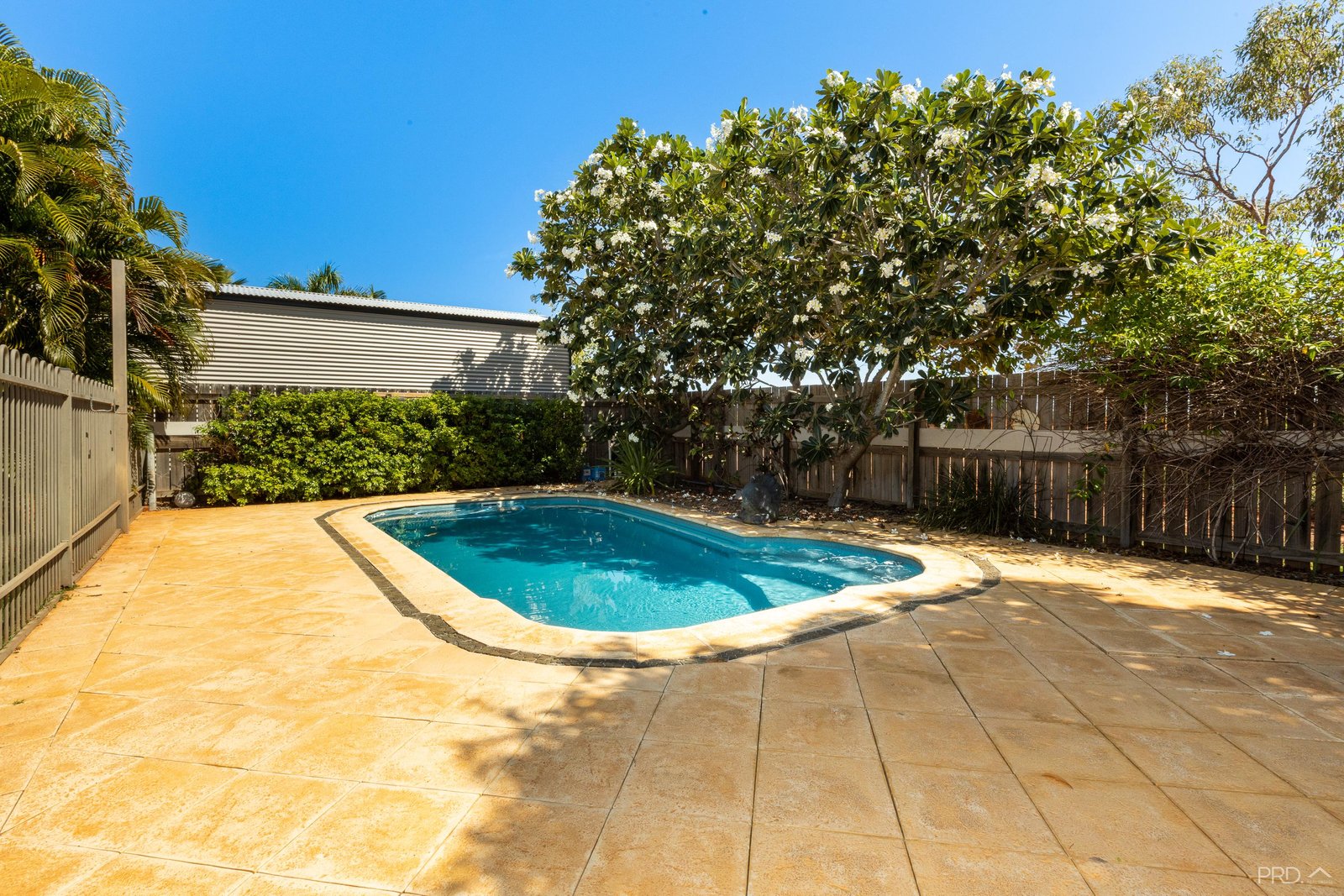 62 Lorikeet Drive DJUGUN 25