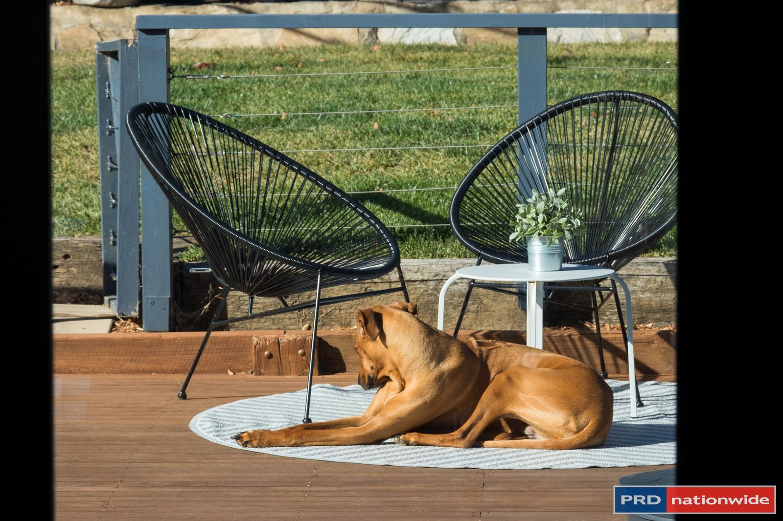 62 Richard Avenue CRESTWOOD 9