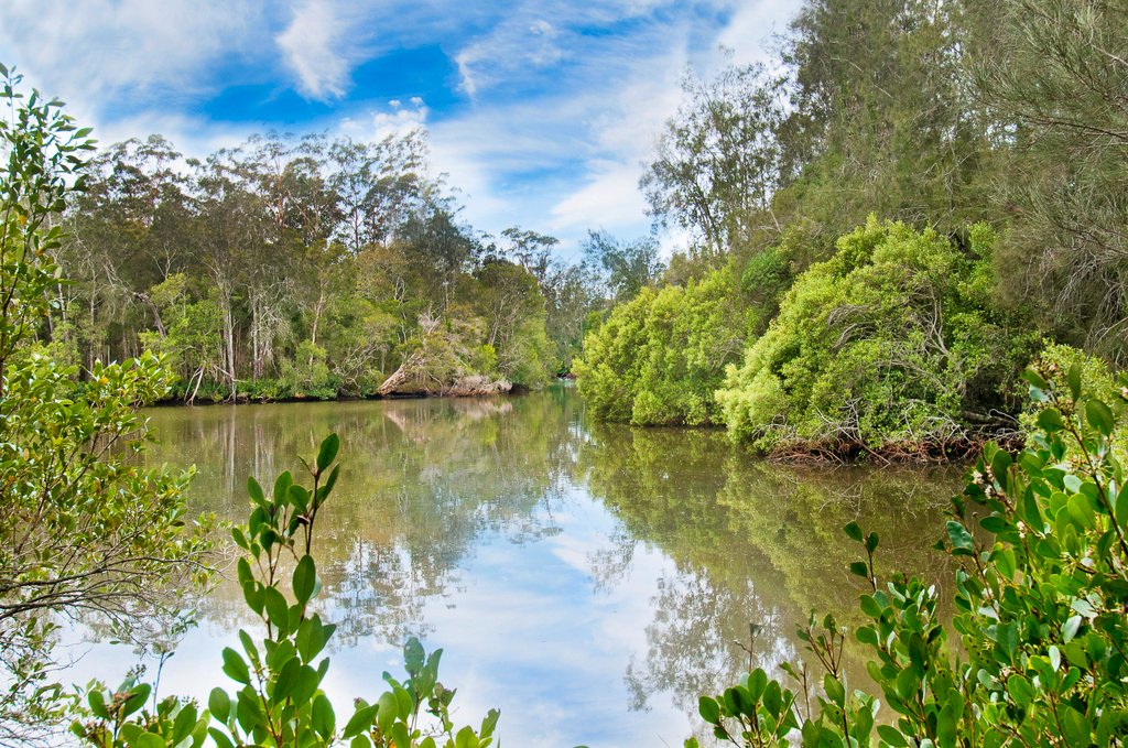 62 River Oaks Drive KENDALL 4