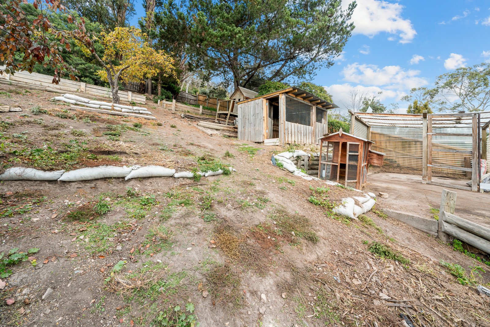 62 Sharland Avenue NEW NORFOLK 23