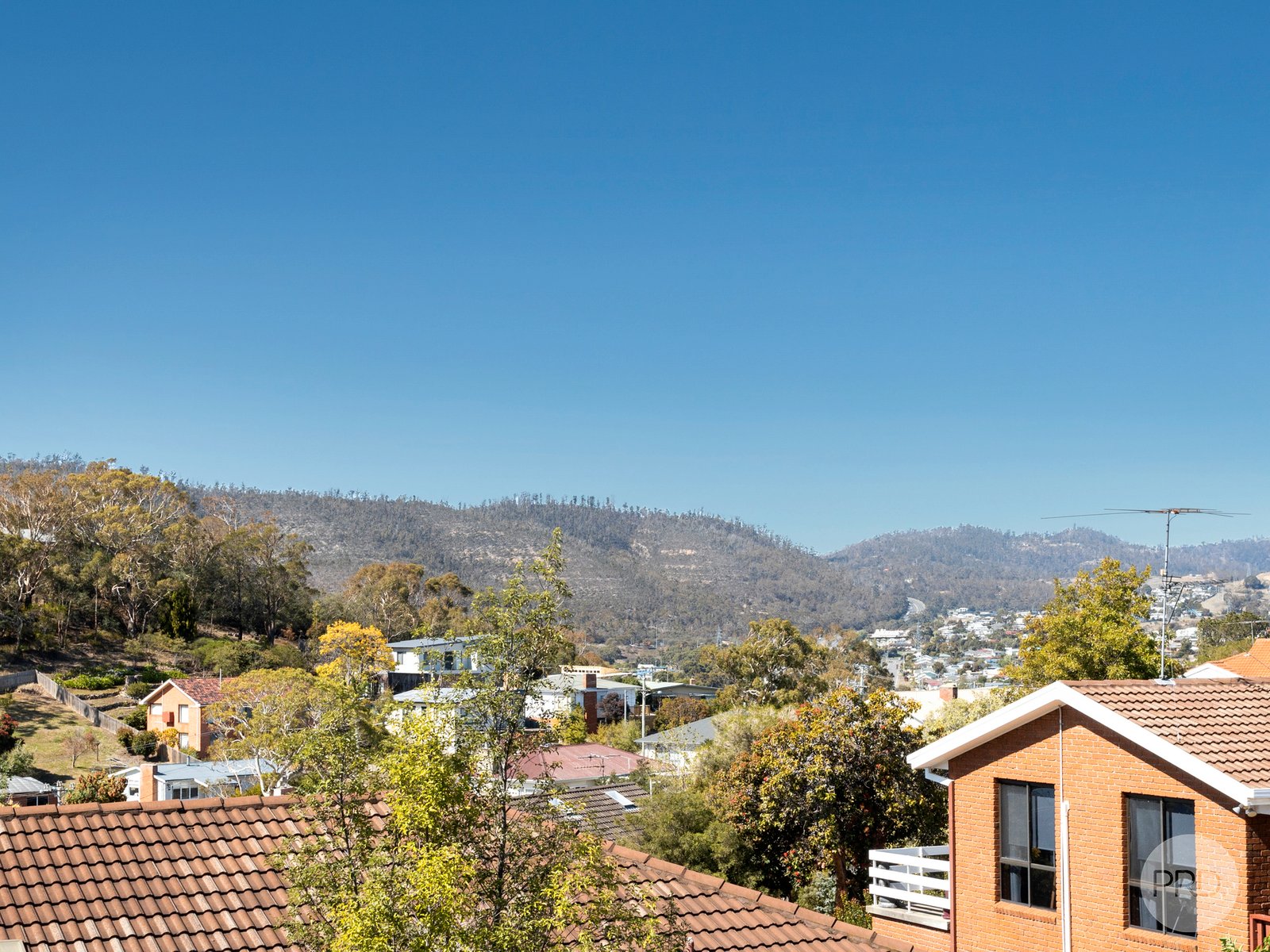 62 St Helens Street LINDISFARNE 20