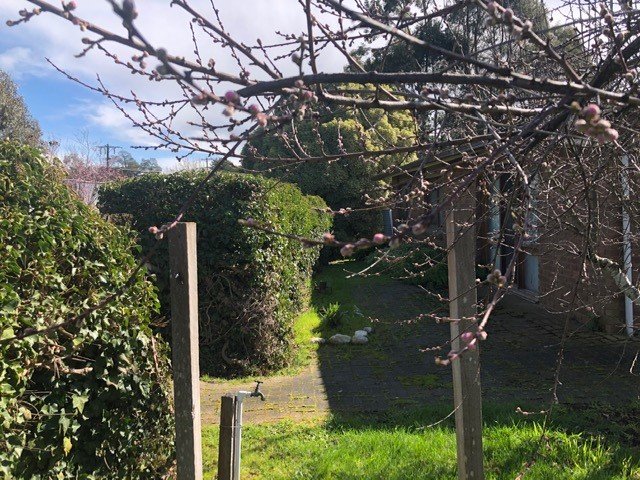 62 Sussex Street LINTON 12