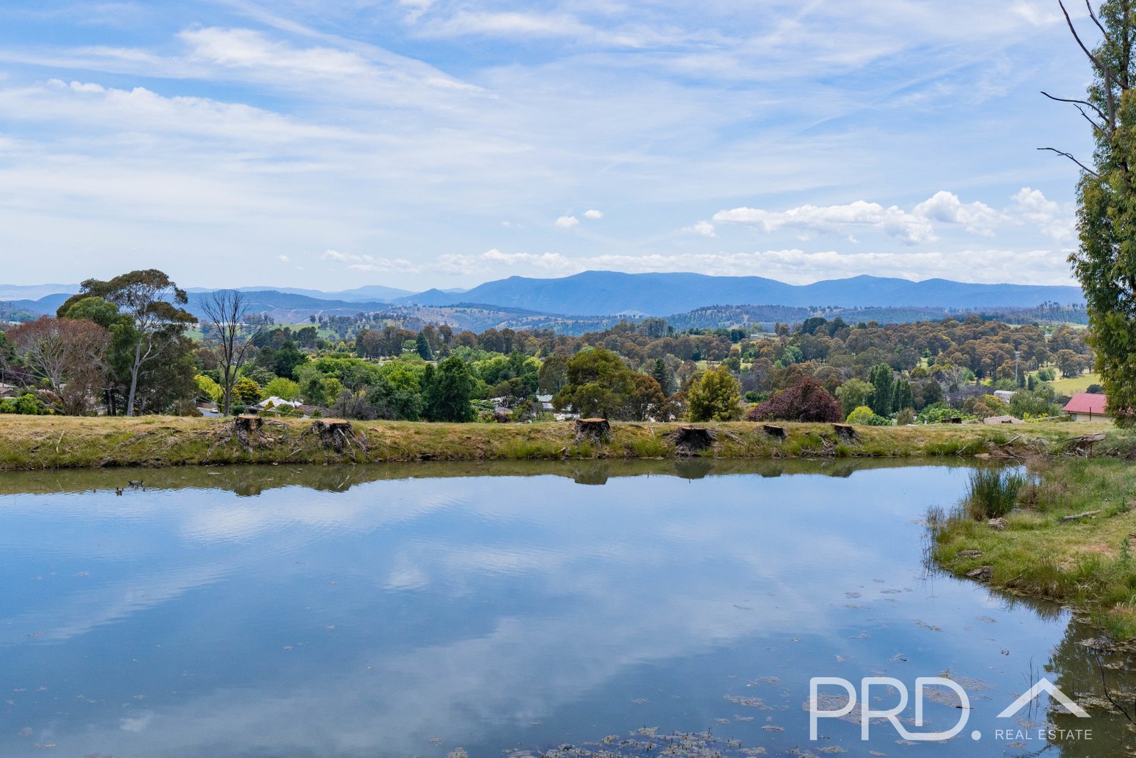 62 Tumbarumba Road BATLOW 20
