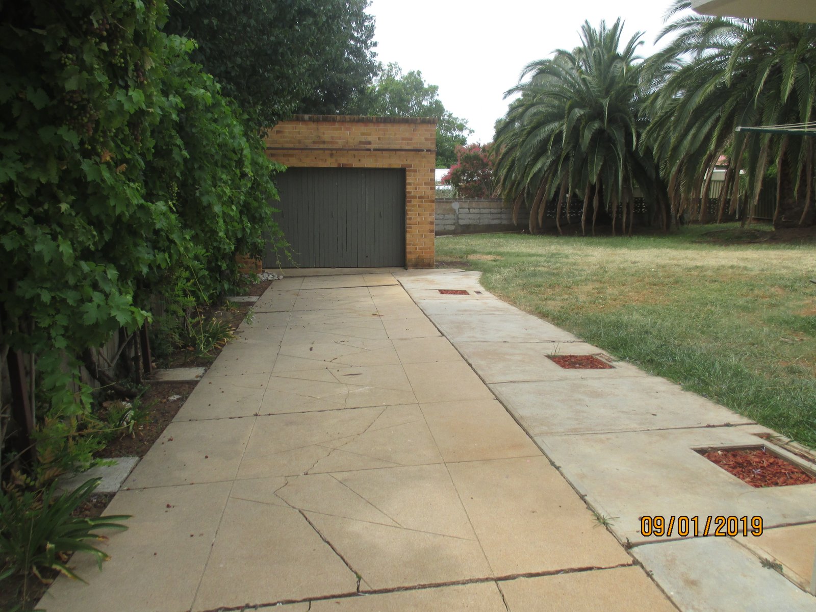 62 White Street TAMWORTH 2