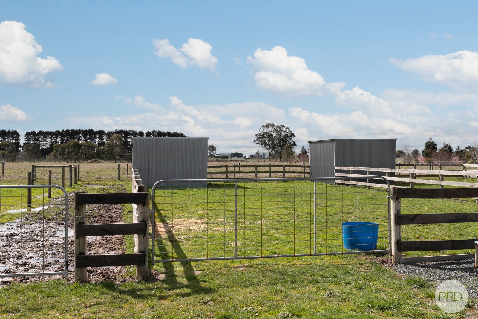 62 Wiggins Road MITCHELL PARK 13