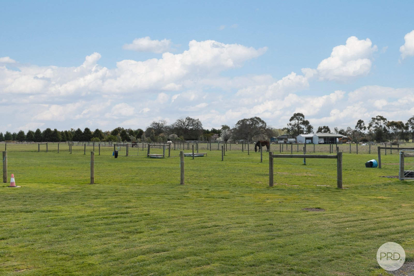 62 Wiggins Road MITCHELL PARK 14