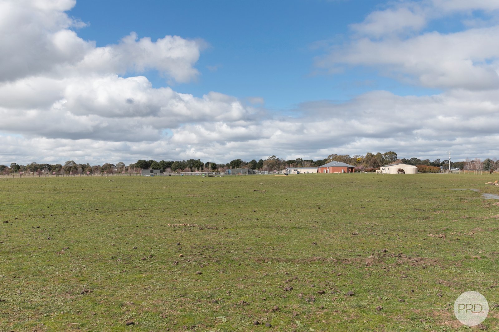 62 Wiggins Road MITCHELL PARK 16