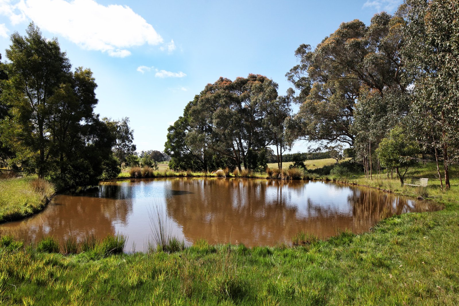 Real Estate and Property in 620 Ashbourne Road, Ashbourne, VIC